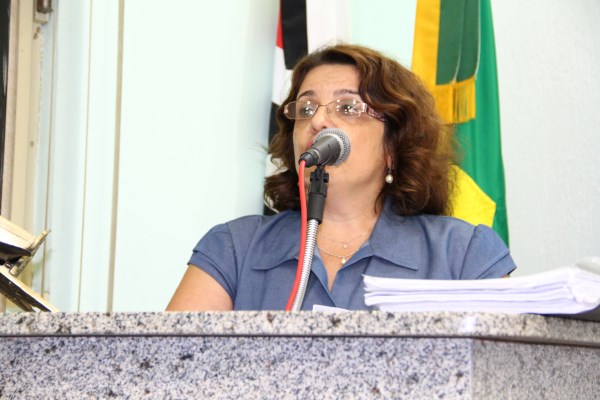 Ex-presidente do Conselho do Fundeb vai à Câmara