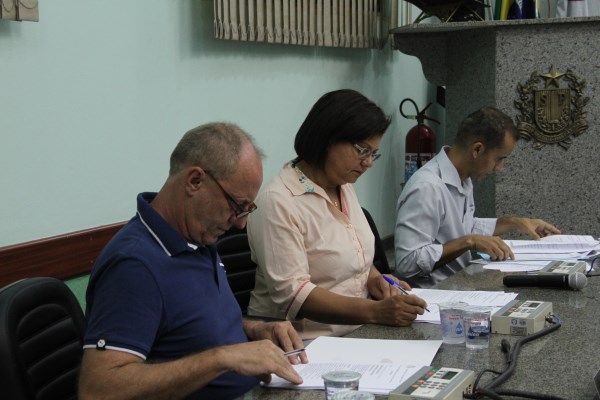 Projeto aprovado desafeta área pública