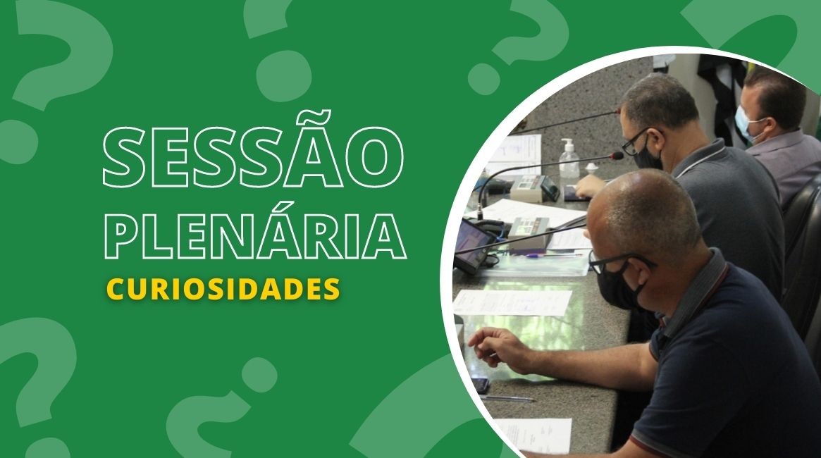 Sessão plenária: saiba a importância em participar