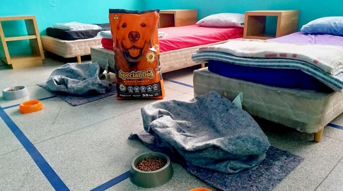 Novo abrigo recebe pessoas em situação de rua e seus animais