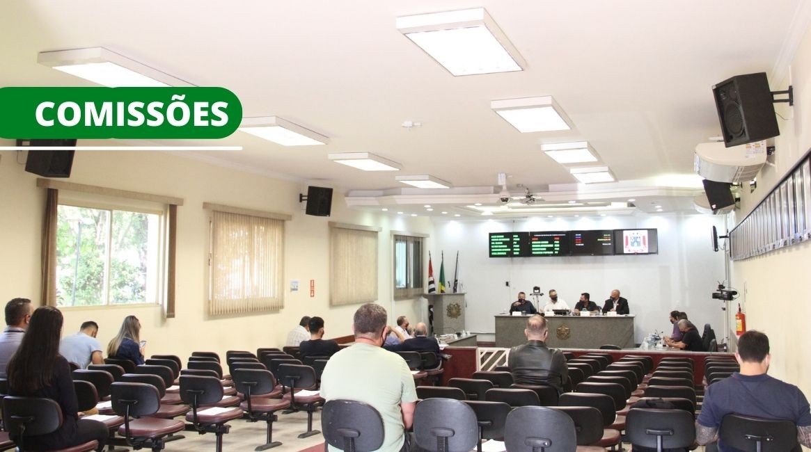 Comissões Parlamentares