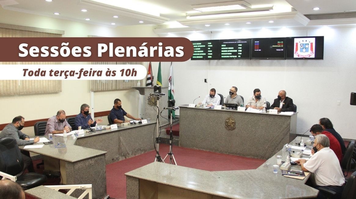 Sessões Plenárias da CMVP