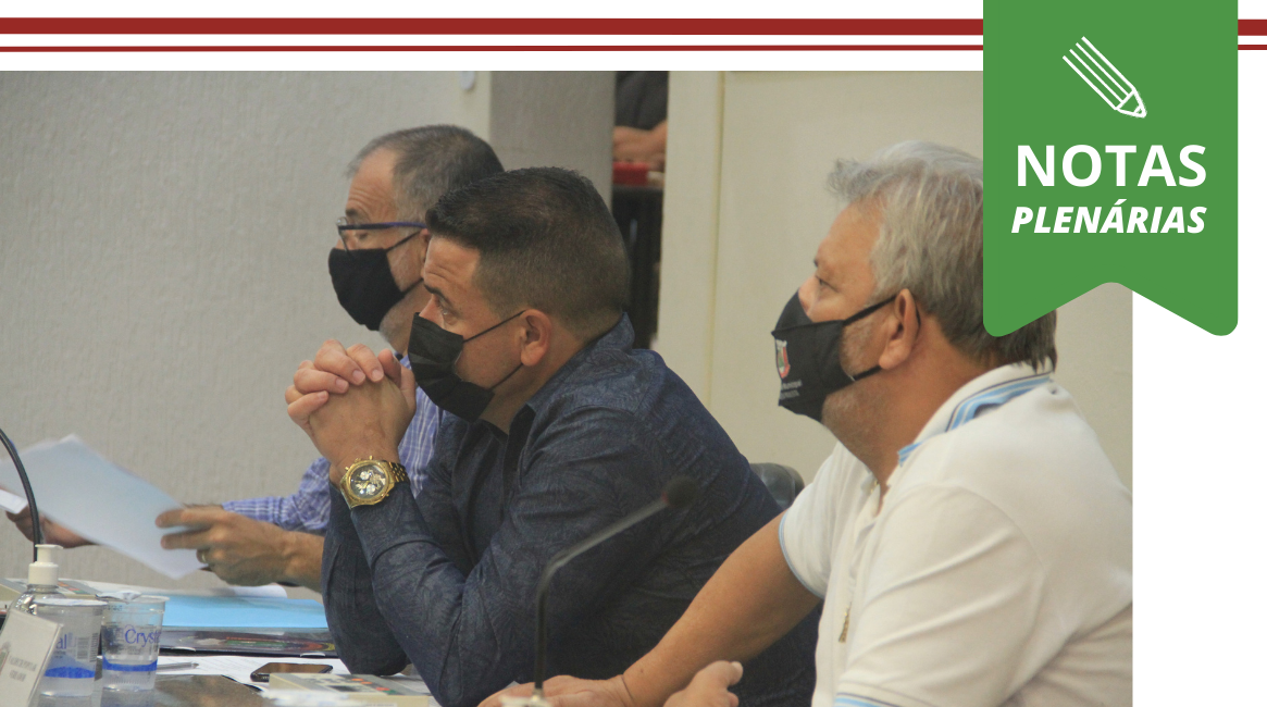 Nota da 39ª Sessão Plenária