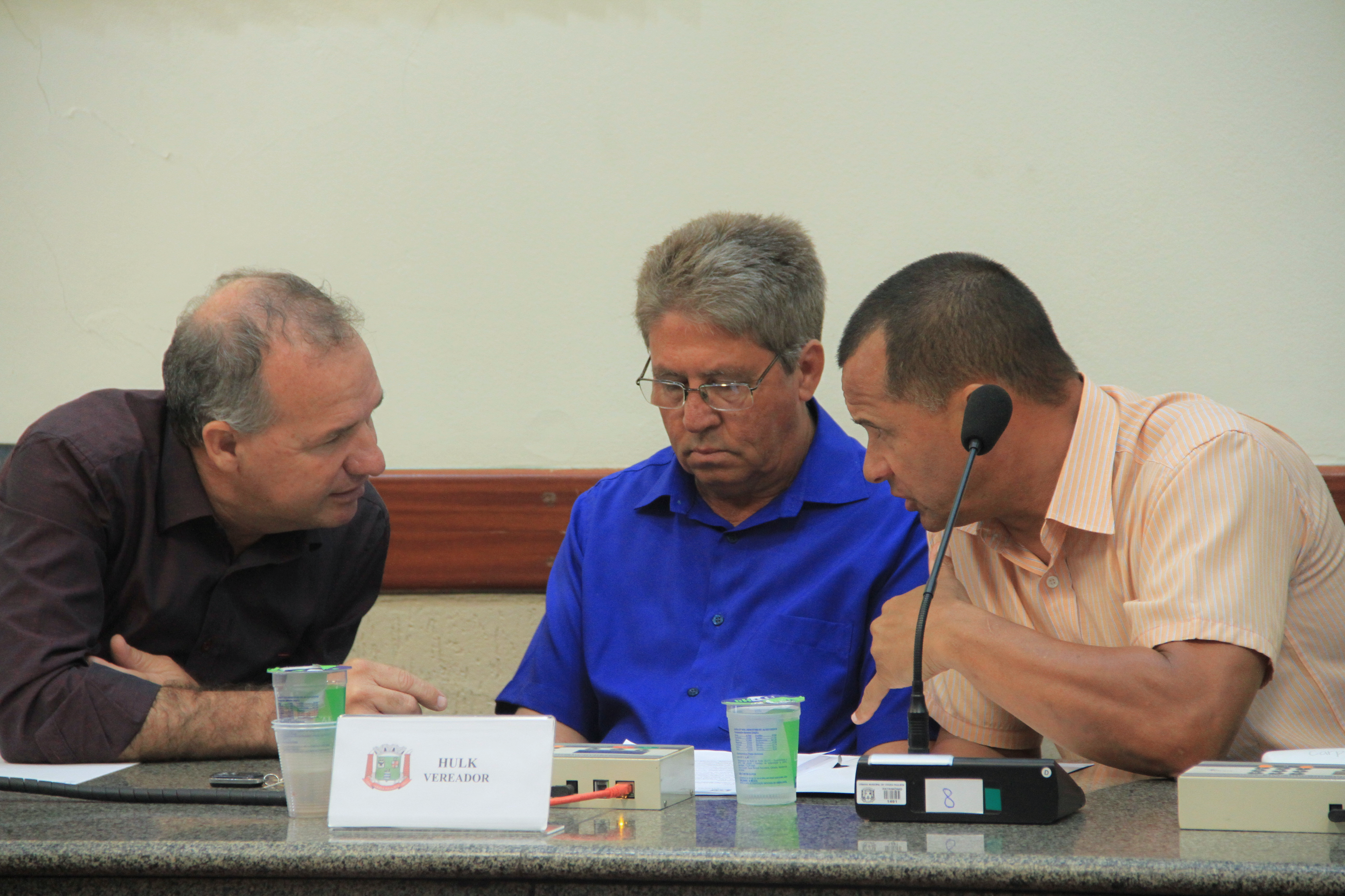 117ª Sessão Ordinária