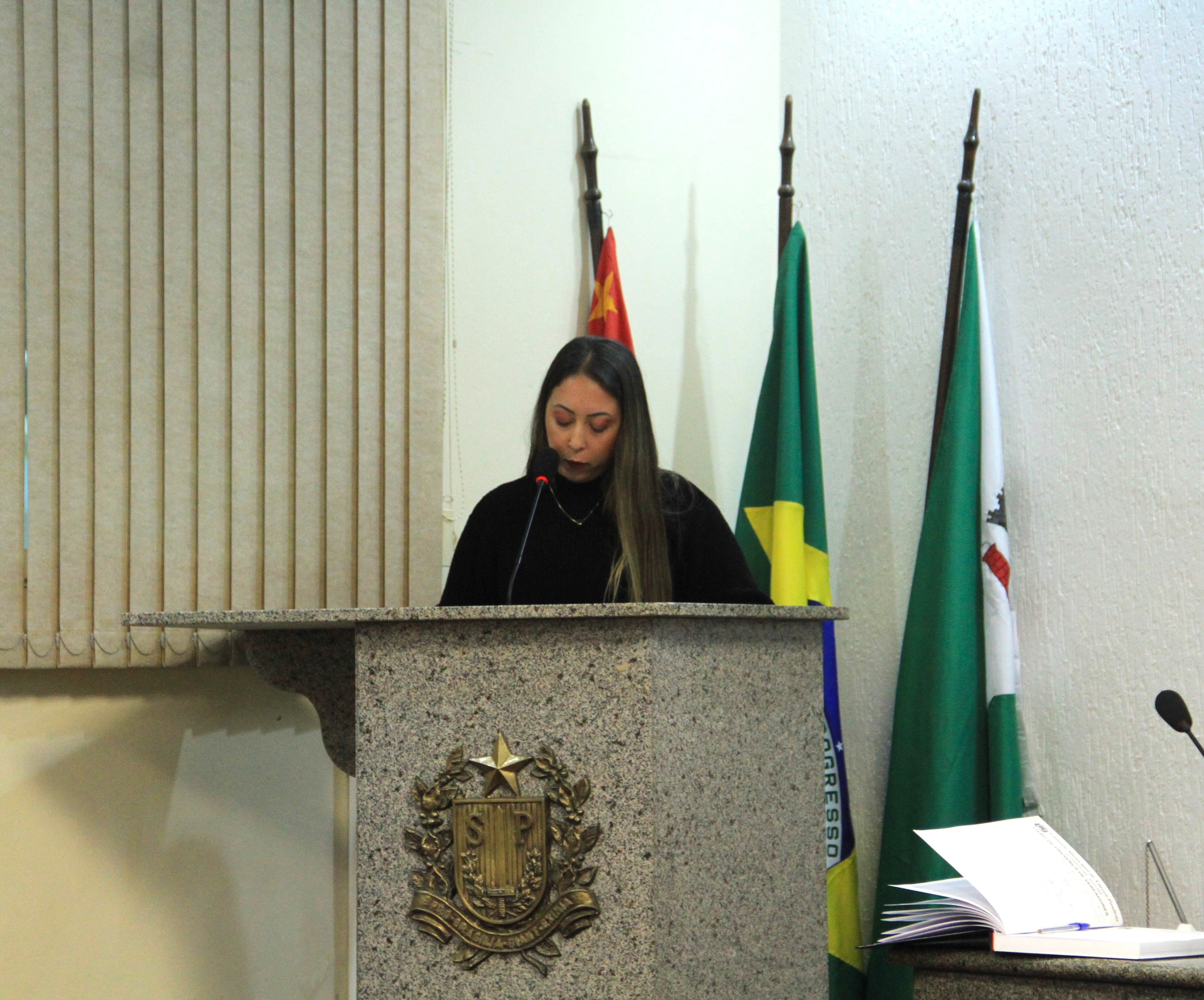 20° Sessão Ordinária de 2025