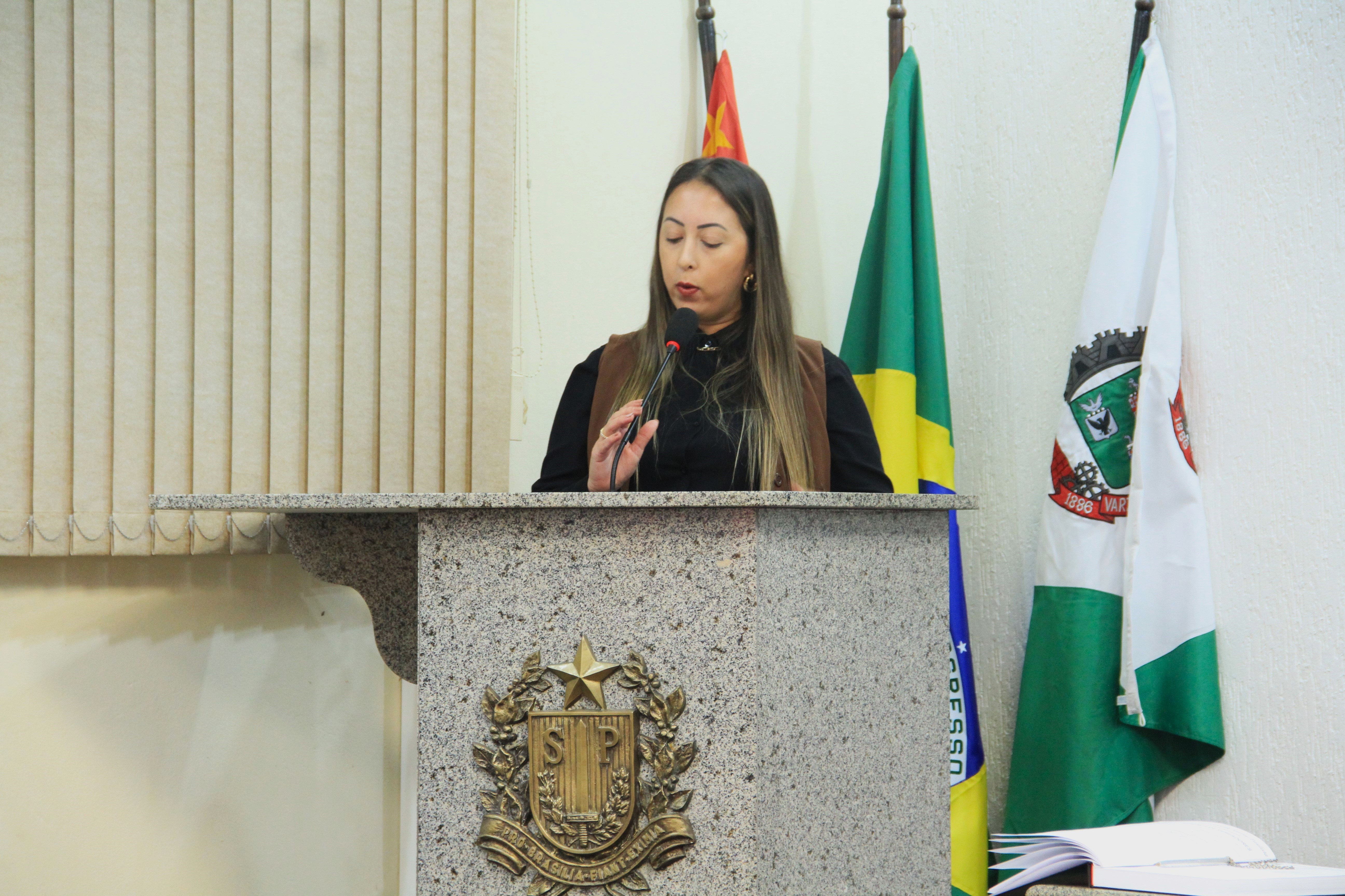 15° Sessão Ordinária de 2025